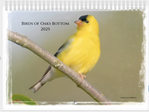 Birds of Oaks Bottom 2025 Calendar